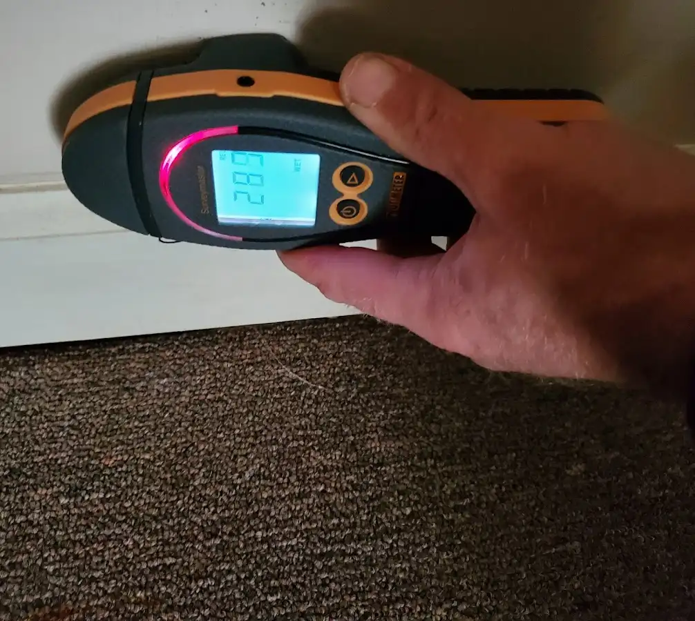 Moisture detection at baseboard during Sewage Cleanup & Sanitation in West Vincent